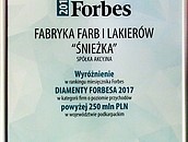 Diament Forbesa 2017 dla Fabryki Farb i Lakierów Śnieżka SA zdj. 5