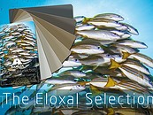 Axalta prezentuje Eloxal Selection zdj. 2