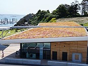 Dachy zielone ekstensywne (z uprawą ekstensywną) –  prawidłowy dobór materiałów zdj. 3
