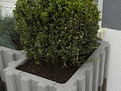 Nowoczesne kwietniki ogrodowe z betonu zdj. 4