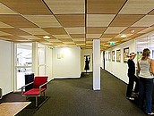 ROCKFON - sufity podwieszane w remontowanym biurze