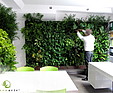 GREENARTE Ekspozycja zielonych ścian w biurze firmy Greenarte®