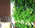 GREENARTE Ekspozycja zielonych ścian w biurze firmy Greenarte®