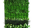 GREENARTE Standardowa mobilna zielona ściana Greenarte®
