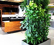GREENARTE Dwustronna mobilna zielona ściana w salonie meblowym firmy Halupczok - Greenarte®