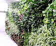 GREENARTE Zewnętrzna zielona ściana z zielonym dachem