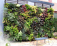 GREENARTE Zewnętrzna zielona ściana w ogrodzie prywatnym