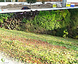 GREENARTE Zewnętrzna zielona ściana z zielonym dachem