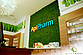Greenarte ApiPharm - Zielona ściana z mchu w nowoczesnej aptece