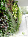 Greenarte Zewnętrzna zielona ściana z zielonym dachem