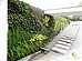 Greenarte Zewnętrzna zielona ściana z zielonym dachem