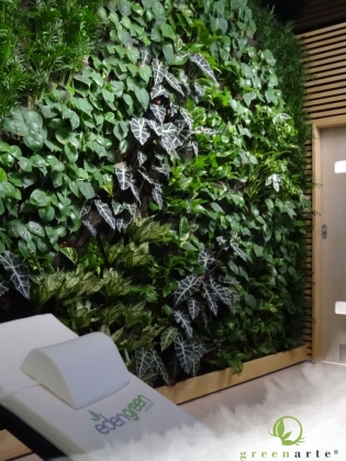 GREENARTE - Ściany roślinne – mobilne i wolnostojące