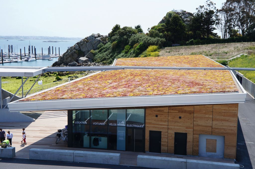 Dachy zielone ekstensywne (z uprawą ekstensywną) –  prawidłowy dobór materiałów zdj. 1